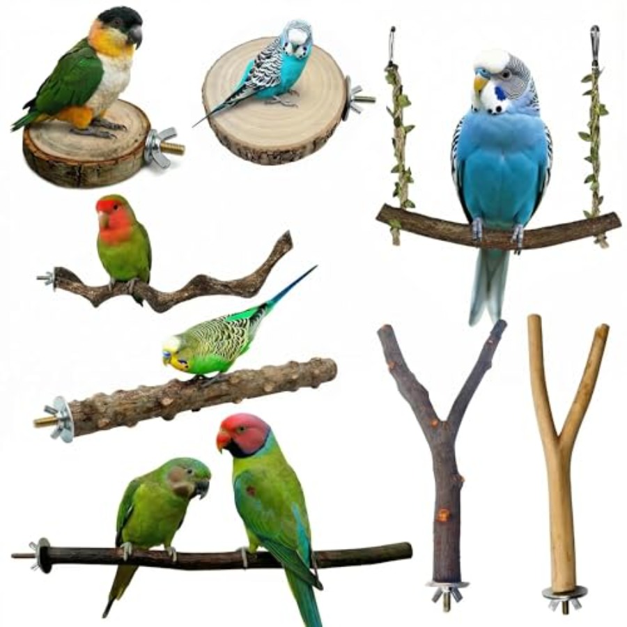 8PCS natural wood bird perches - đánh giá và giá Health & Wellness Unlimited