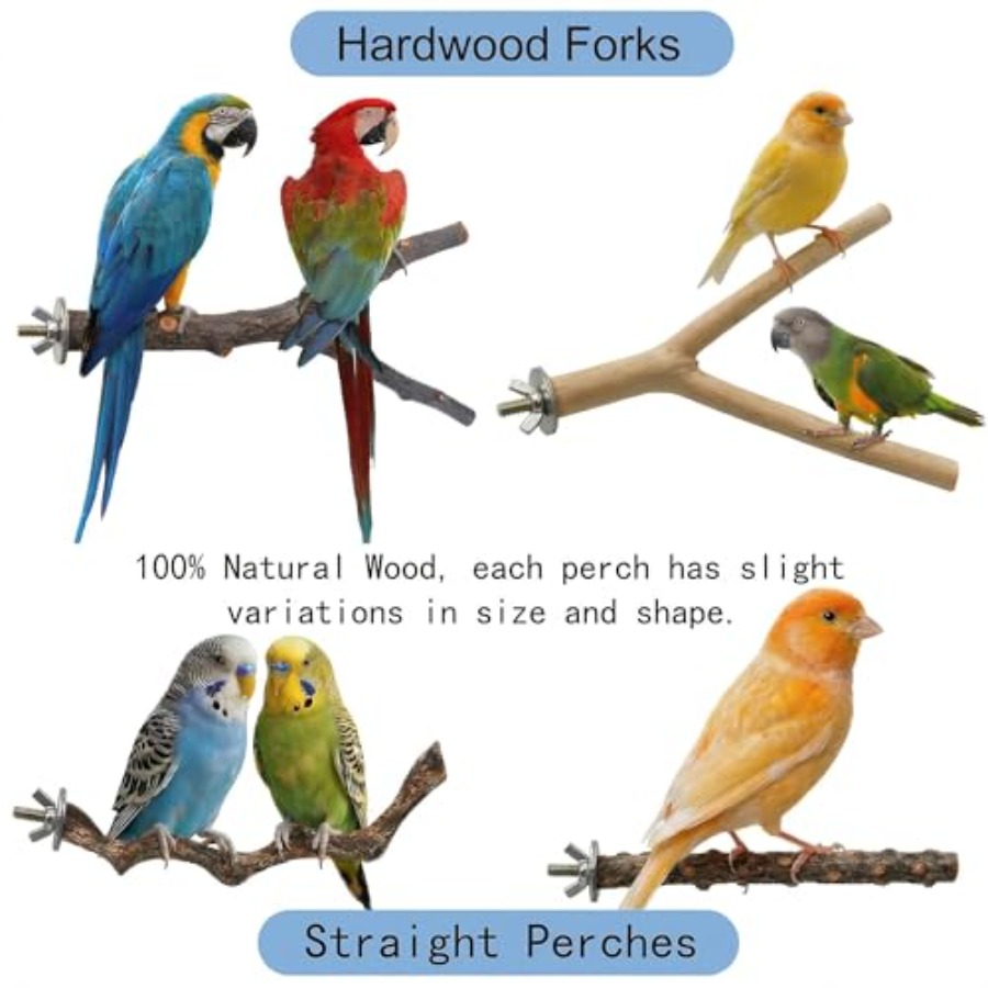 8PCS natural wood bird perches - đánh giá và giá Health & Wellness Unlimited