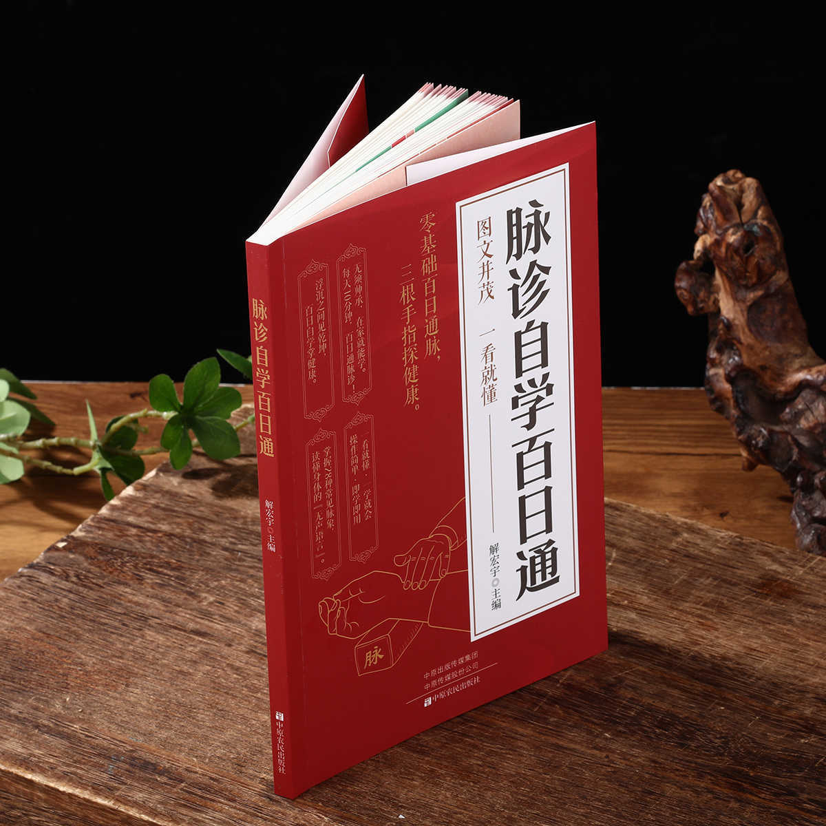 Pulse Diagnosis Self Study Hun - đánh giá và giá Health & Wellness Unlimited