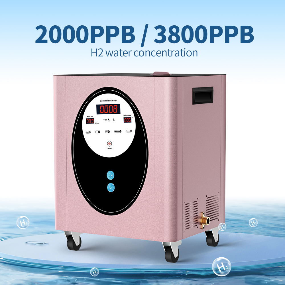 SUYZEKO Whole House Hydrogen W - đánh giá và giá Health Wellness Club